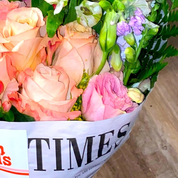 Meet your Posher, Sophia - Picture 1 of 1